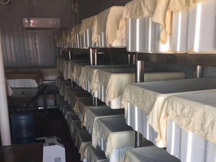 壹号娱乐APP成品