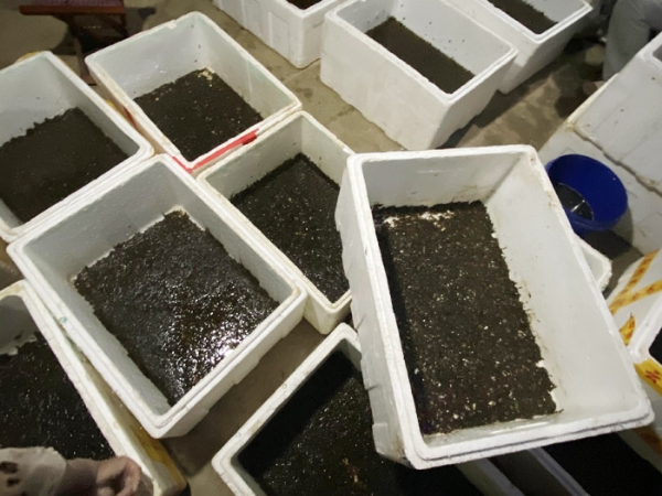 壹号娱乐APP成品