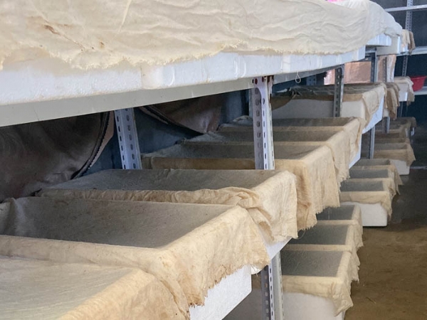 壹号娱乐APP成品