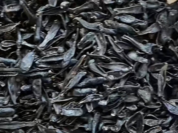 壹号娱乐APP成品