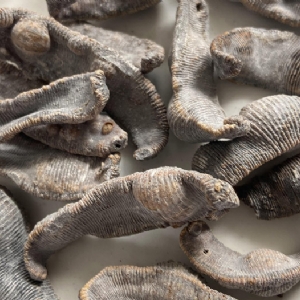 壹号娱乐APP成品