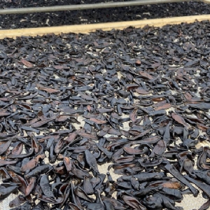 壹号娱乐APP成品