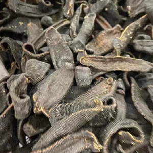 壹号娱乐APP成品