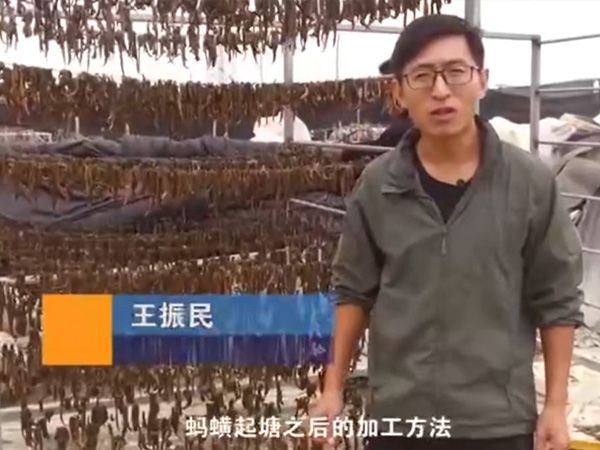 壹号娱乐APP加工要领