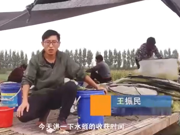 壹号娱乐APP收获时间
