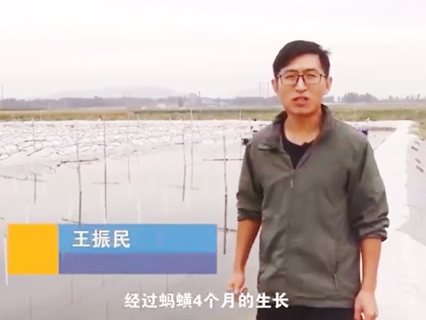 壹号娱乐APP收获流程