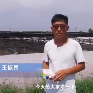 菌种介绍-芽孢杆菌介绍