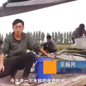 壹号娱乐APP收获时间