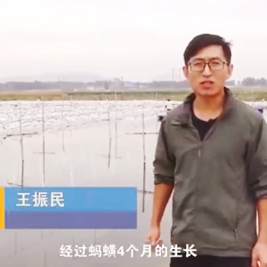 壹号娱乐APP收获流程