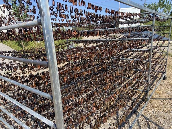 壹号娱乐APP成品